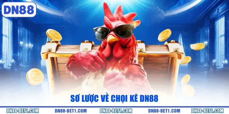 Sơ lược về chọi kê DN88